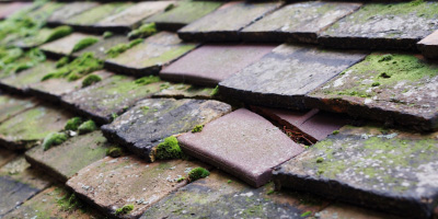 Dunsmore roof repair costs
